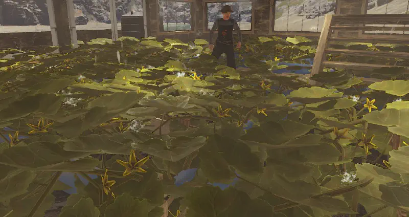 Farming Update