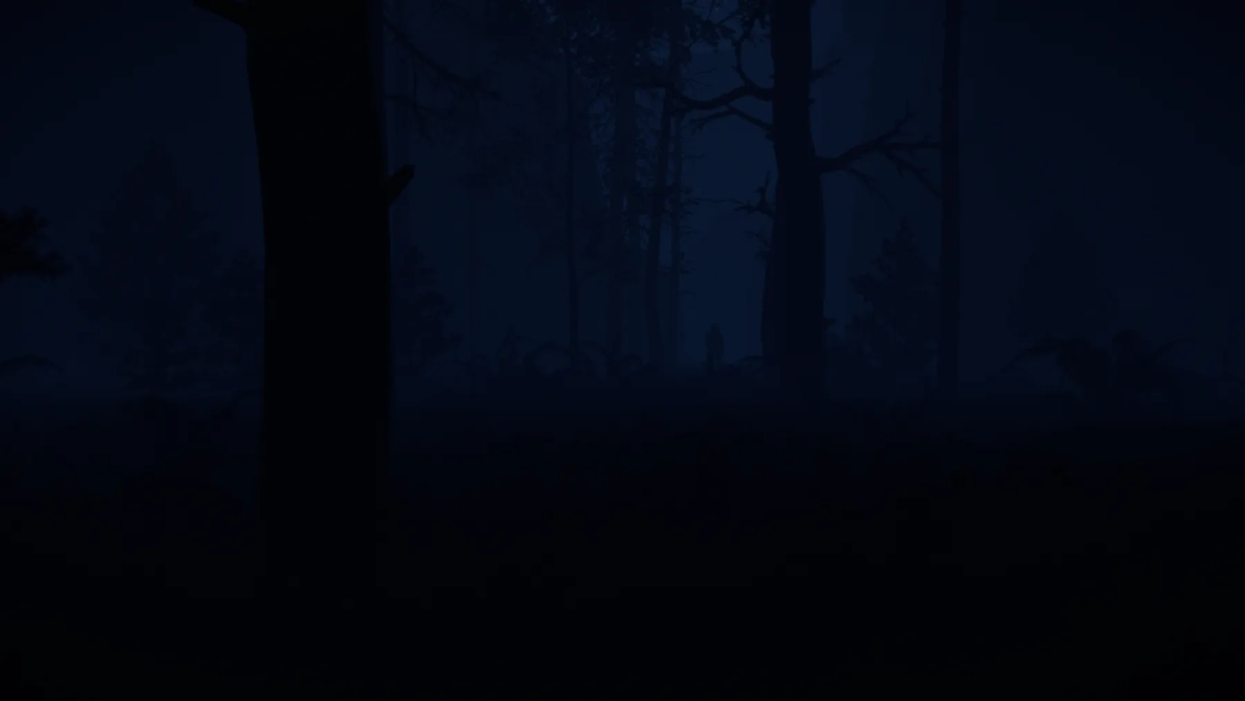 Dark forest with a distant silhouette between the trees
