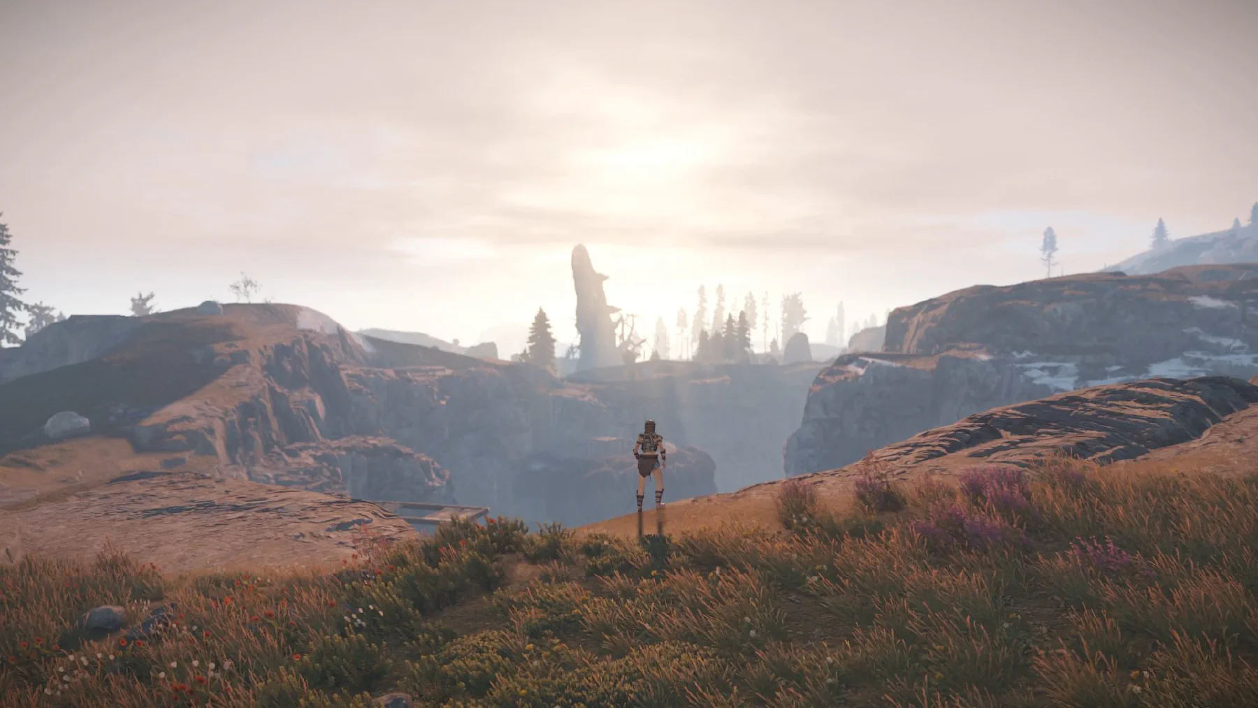 Expedition member overlooking a huge ravine