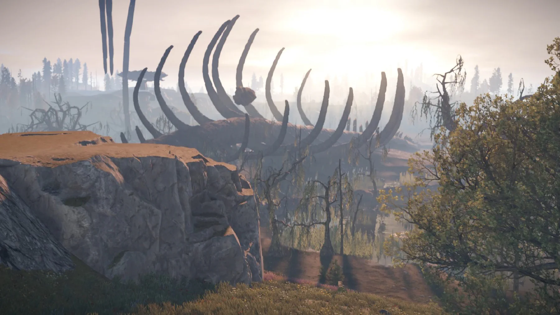 Immense dragon rib cage spanning a valley