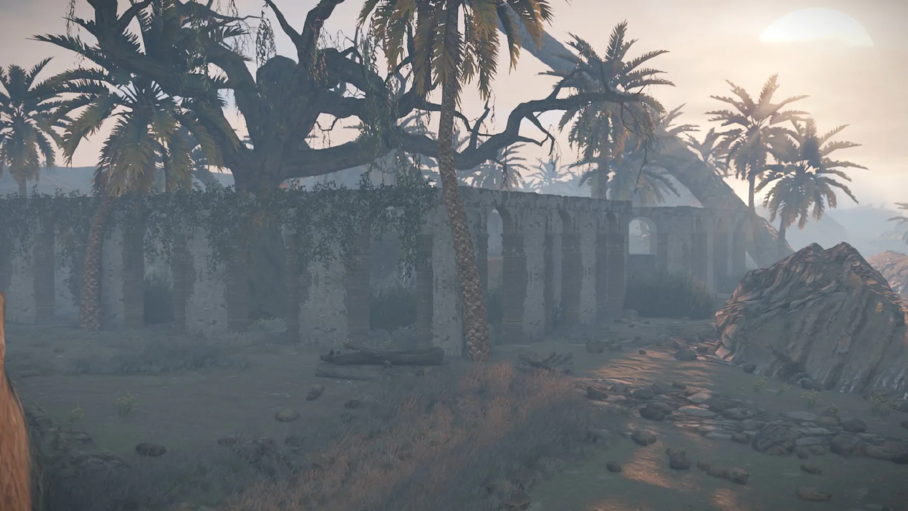 Ancient stone ruins among palms and enormous twisted trees
